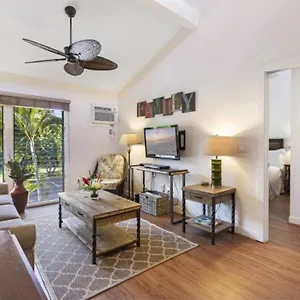 Gorgeous 2 Blocks From The Heart Of Maui Lahaina